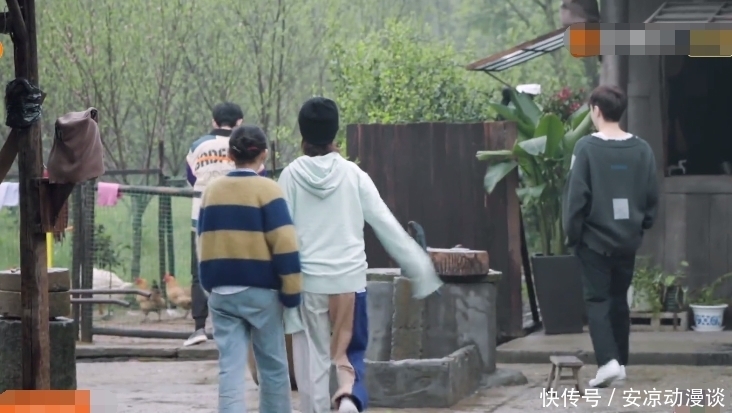 向往5|《向往5》下期:张艺兴去鸡窝掏鸡蛋,“责怪”师父把拖拉机搞坏