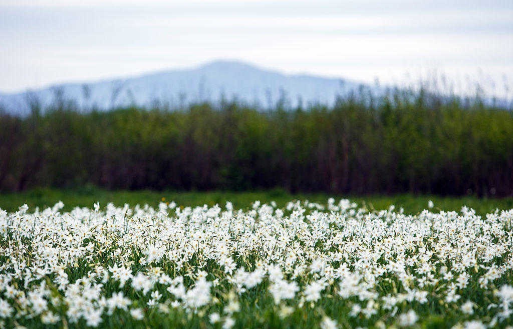 《曾国藩家书》:对人要宽严相济,办大事要有人才备份