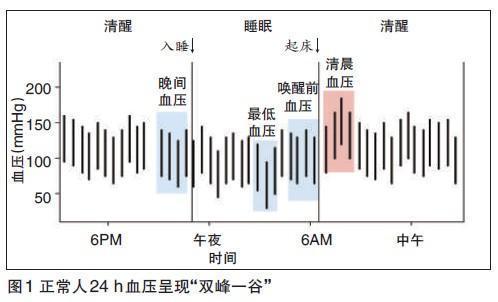 同样的降压药，早晨吃和晚上吃，降压效果为啥不一样？高血压奥秘