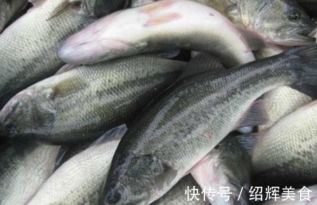 鱼身|买鲈鱼,不要只看大小来挑选!记得看这3点,选的鲈鱼又嫩又新鲜