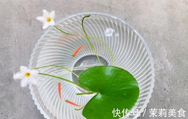 5种罕见植物，只长一片叶子一根茎，价值却很珍贵早看早知道