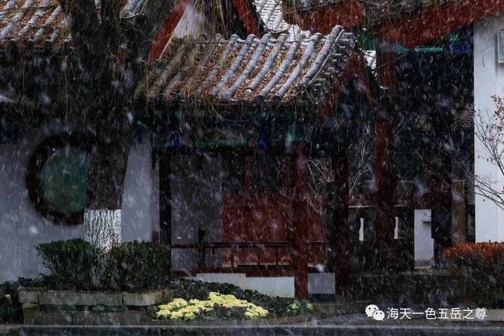 百脉泉|雪泉共舞，百脉氤氲：泉城第一场雪，百脉泉飞花穿庭，盛雪芳华