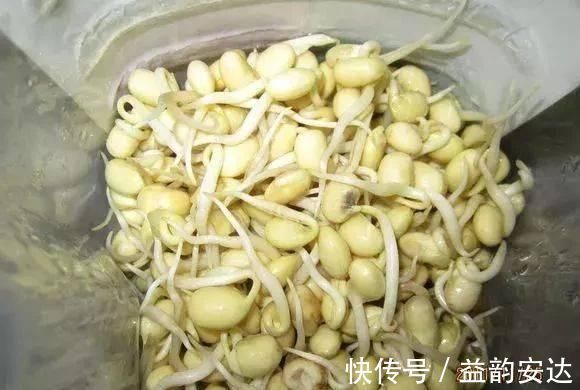 家里的塑料油桶别扔，有3个“妙用”，种菜效率高，扦插生根快