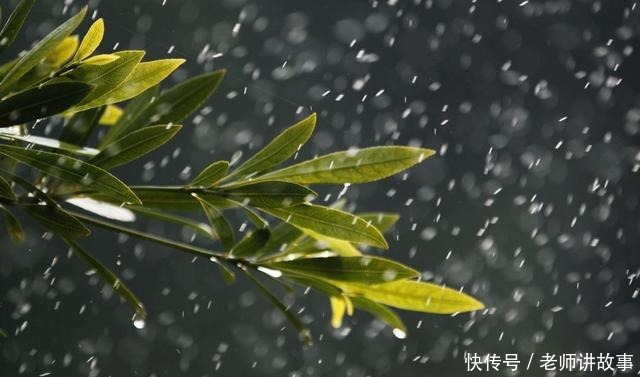 高三作文别样的雨景