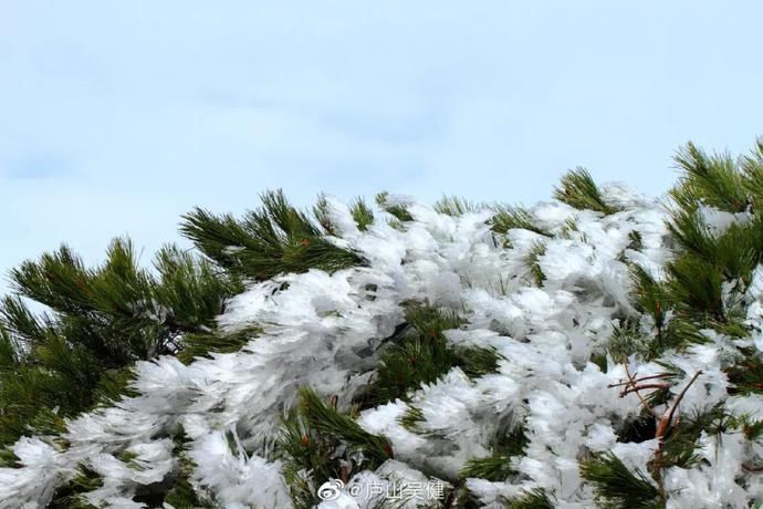 江西|江西初雪要来了！时间就在…