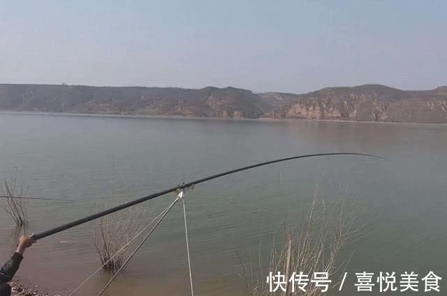 秘籍|钓不到大鱼的钓友看过来，掌握这套秘籍，钓到大鱼几率会很高