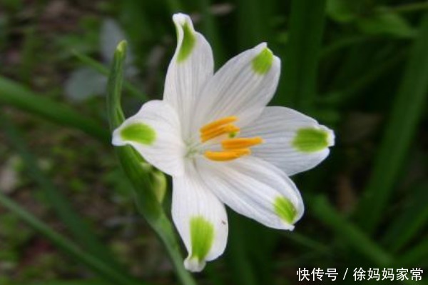 俗话说:天无绝人之路,霉运降临时牢记4句话,必将财福满满!