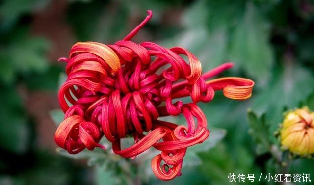 从不|智者,从不说的五句话!