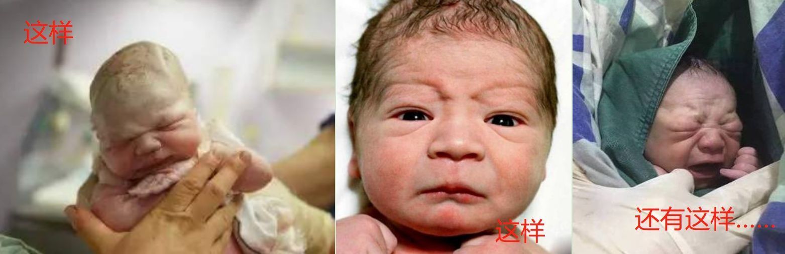 葡萄|出生第一天就火了，“高颜值女婴”睁开眼，护士：我还是第一次见