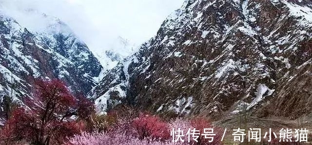 昆仑山|传说中最佳“修仙”场所，据说里面的“人”至少800岁，极为神秘