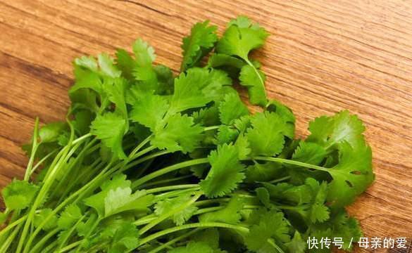 保存香菜不能直接放冰箱,老农教你一招,放久了不发黄也不烂叶