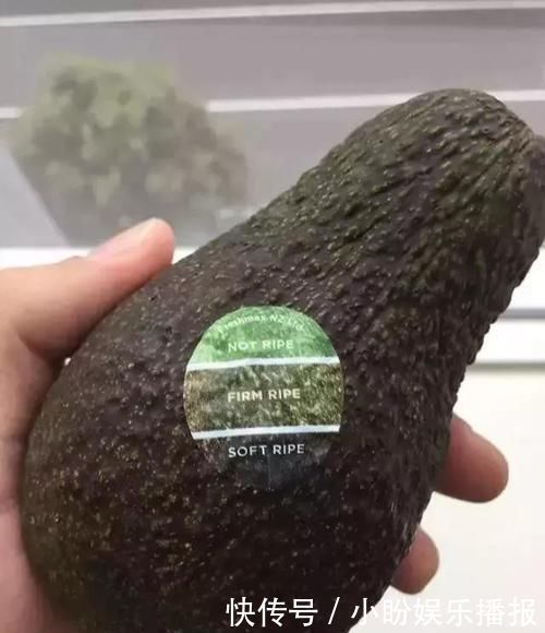 设计&20个走心的设计,这些设计师应该加鸡腿,你最喜欢哪个