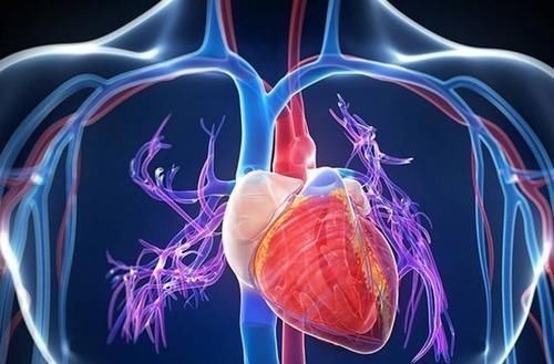 运动|长期坚持跑步,虽然人瘦了,但却“变老了”,这是为什么?