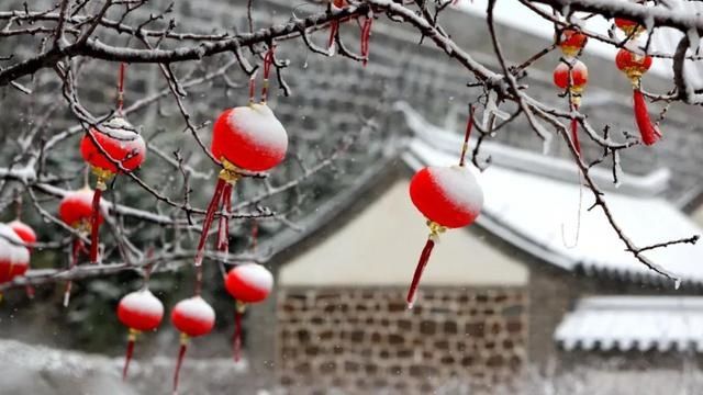 油菜花|春雪漫卷，蓬莱阁的美藏不住了！