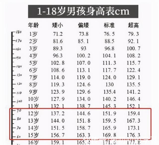 家长|男生的身高在多少岁定型?原来在这个时候，家长要提前了解