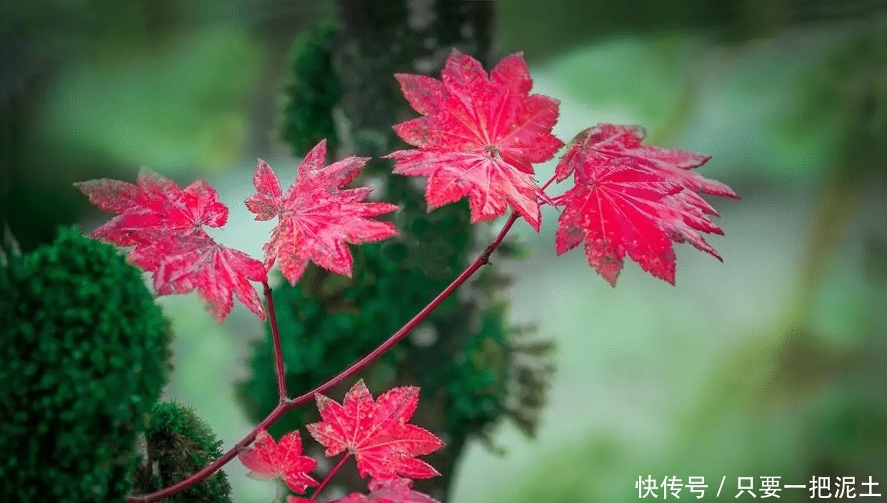 远离“养不熟”的人,距离是对自身的保护!