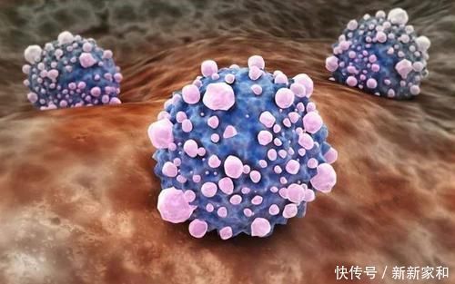 肿瘤|这味具有化痰散结功用的中药，可以辅助调理癌症，你知道吗