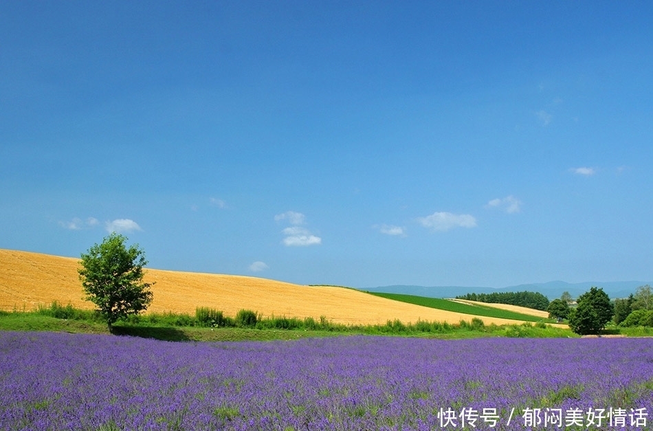 大奖|财神点名3生肖,11月,横财先进门,大奖随后到,一夜暴富