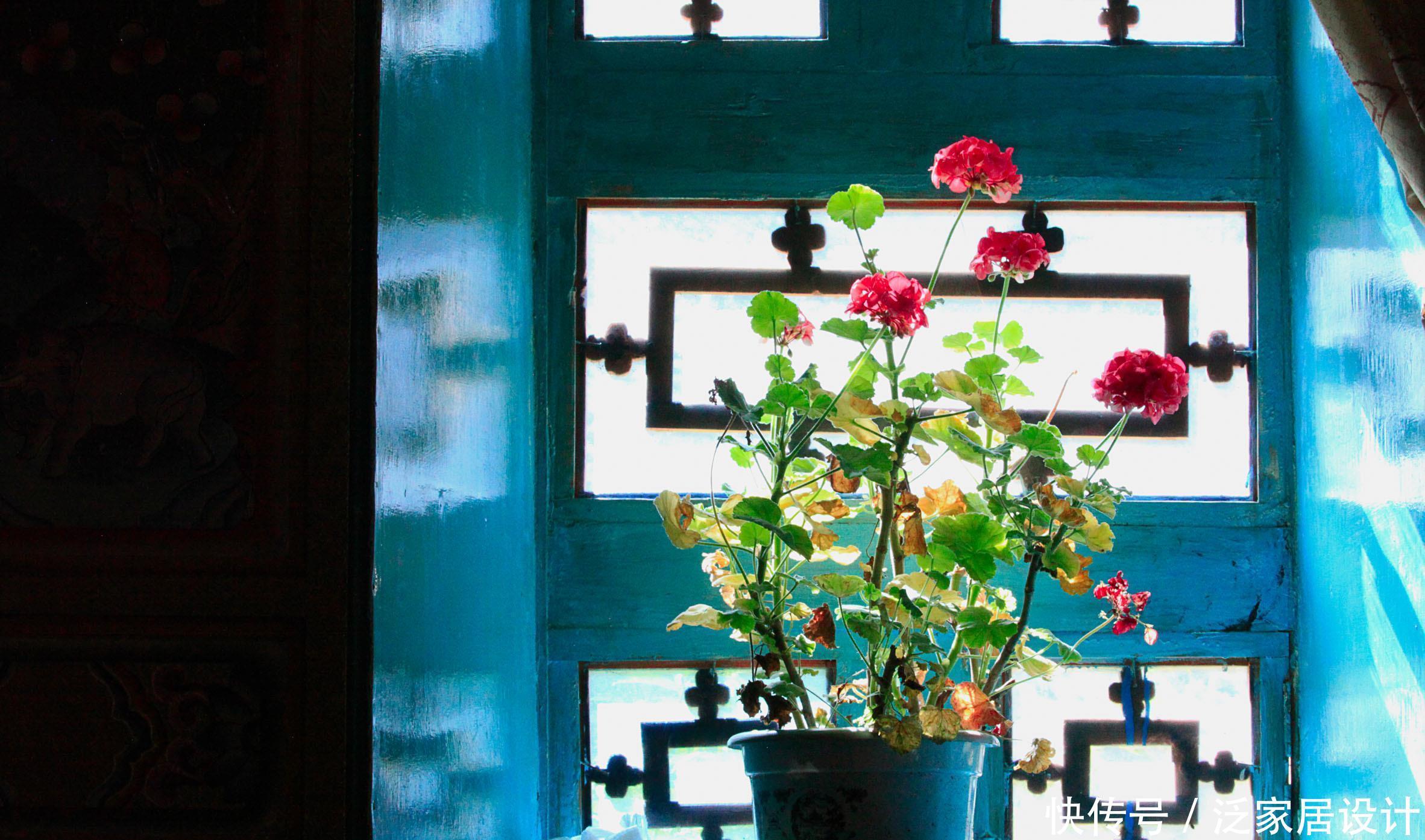 养花的6个“误区”，很多人都不自知，难怪养不好花