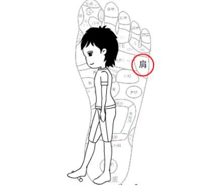 松膀|每天1次，每次10分钟，让女人健康一辈子！