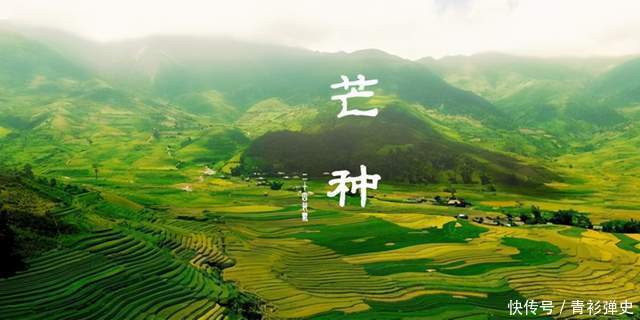 粮食作物|24节气小满,满字何解?为什么有小满,却没有大满?