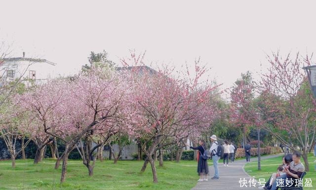 中年|长沙湘江小岛，岛上不通汽车，只因那是一代伟人指点江山的地方