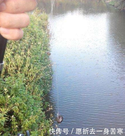 鱼饵|小伙河边钓鱼用这个做鱼饵，围观群众嘲笑他，随后统统闭嘴