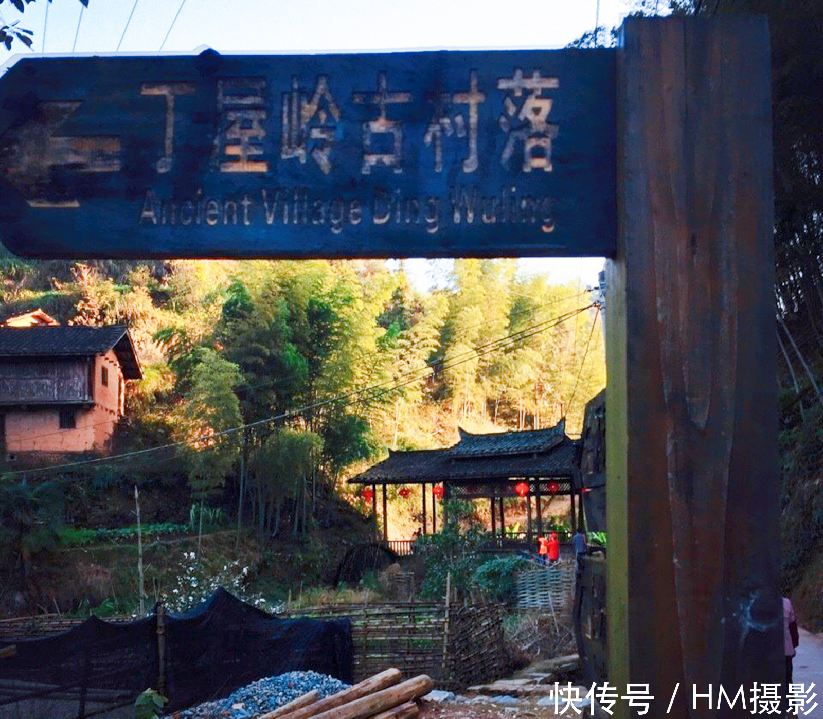 福建被群山包围小村庄，千年没有蚊子，是因为石蟾蜍的庇护？