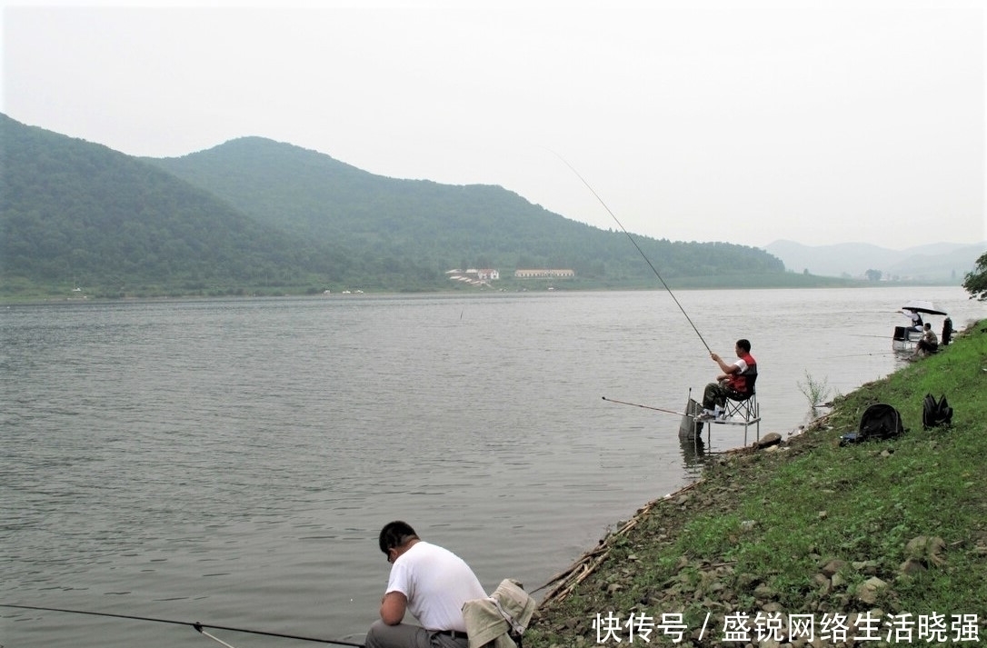 杂鱼|有鱼吃饵,扬竿却不中鱼,做好这些细节,精准抓口鱼难逃