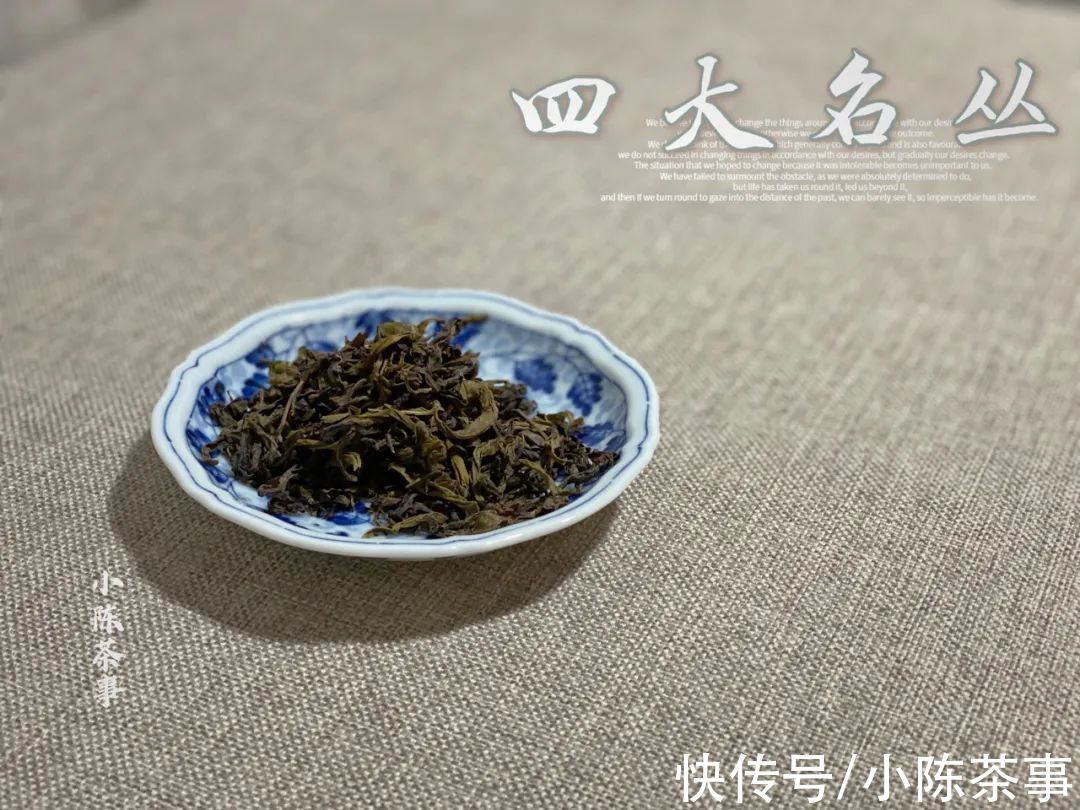 岩茶#从铁罗汉、水金龟、半天妖，再到白鸡冠，四大名丛见证岩茶的历史