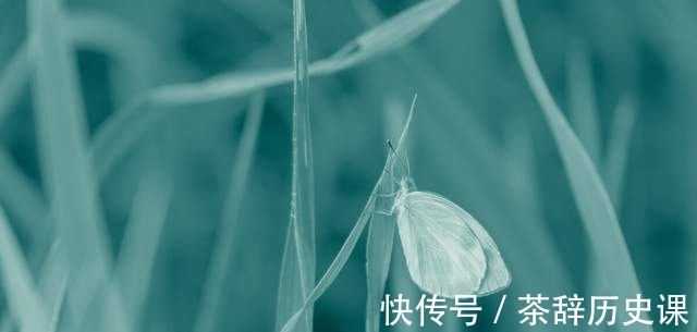 人到中年|年过四十,学会平衡