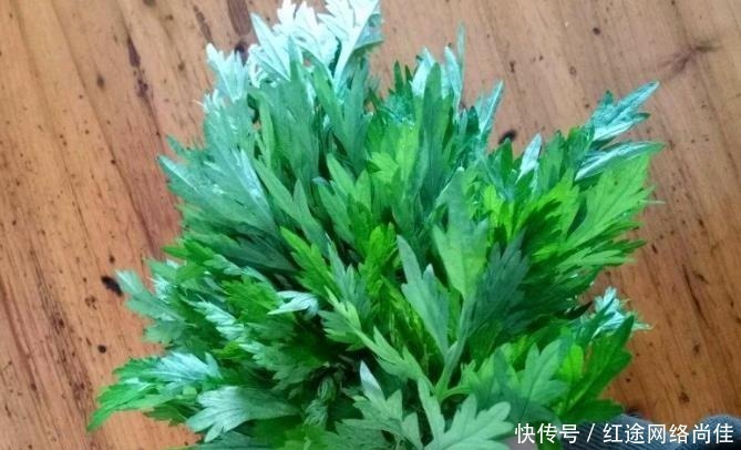 厕所|爱卫生的人,在厕所就养“3种”植物,不仅美观,还能杀菌吸臭!