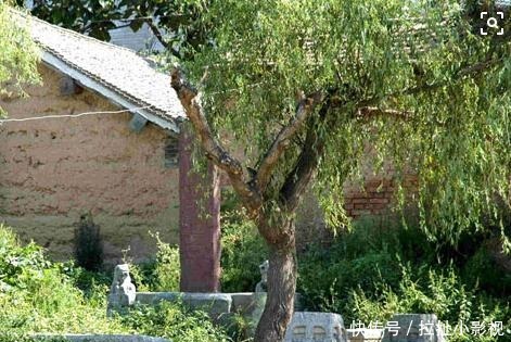 会盟|穿越千年重回西周孟津会盟台!