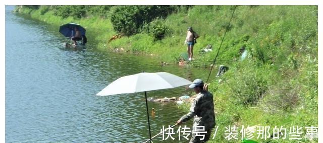 渔获量|入秋的鲫鱼都躲在哪里？在恰当的时间段野钓，渔获量翻一倍