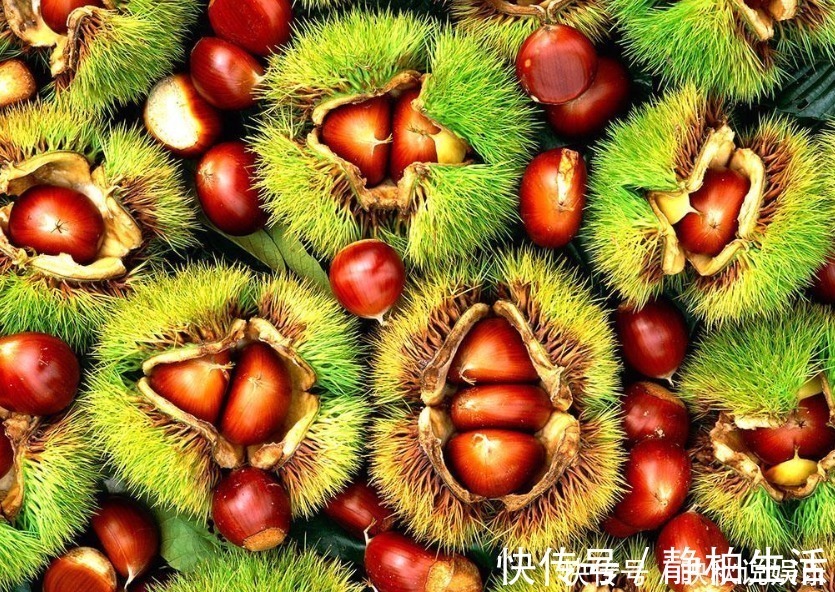 失眠|栗子和此物一起煮，失眠好了，大肚子平了，不想每天疲惫不堪试试