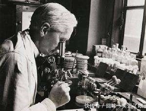 本草纲目|《本草纲目》记载“寡妇床头灰”能有大作用,这是真的吗?