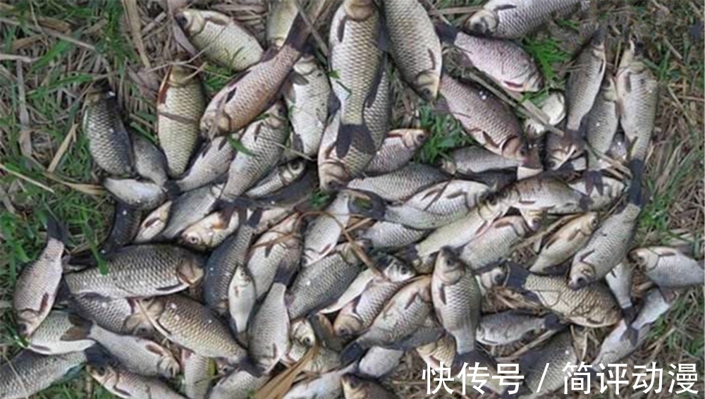 气温一低，发窝就慢，想要聚鱼快速而且集中，打窝有这3大要求！