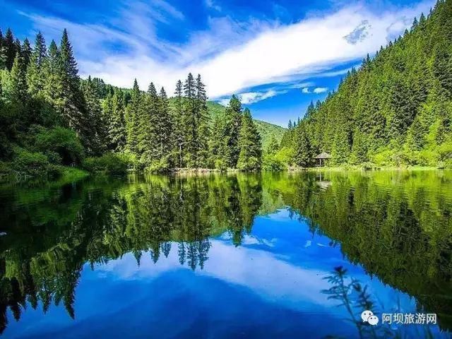 牟尼溝|阿壩州六地上榜“四川最美高原濕地”！