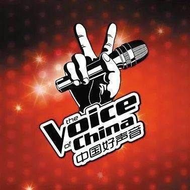 从全民热议的国内顶级综艺,到如今悄无声息地结束,它就这么糊了?