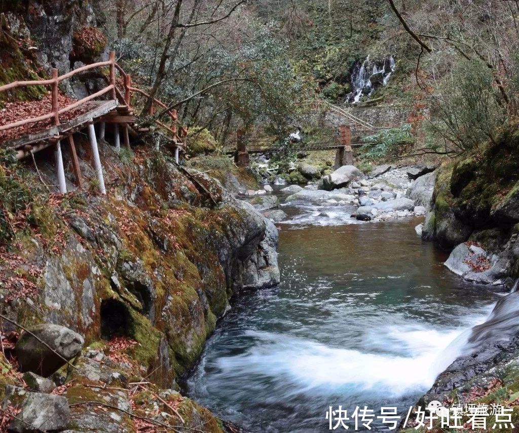 叶子|魅力陕西行·雨后，寻觅镇坪最诗意的秋天