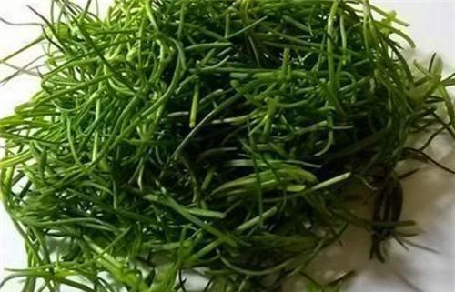 柚子|女性担心老太快,可以多吃三种食物,美容养生、滋润身体!