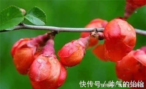 漱玉词$李清照最“俏皮”的一首词，专门向丈夫撒娇的，结果成千古名作