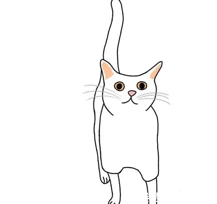 插画作品$插画家画了几只猫,被网友吐槽瞎画,放上原照后,人们直接无语