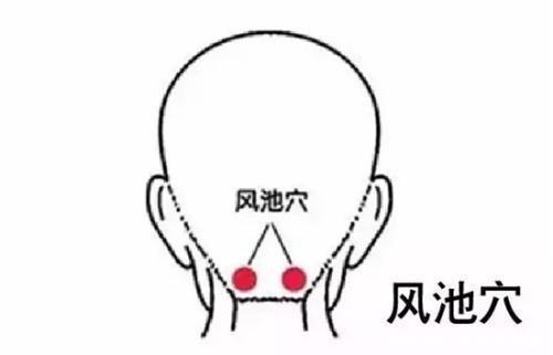 风池穴|阳气为什么可以治百病?中医为你解密,简单3招补足阳气远离寒湿