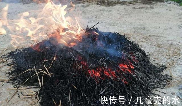 翡翠豆腐|农村随处可见的黄荆叶,加点草木灰做成黄荆翡翠豆腐,太好吃了!