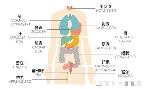 你信吗？“癌胚抗原高，回输5万一针的细胞就能防癌抗癌？”