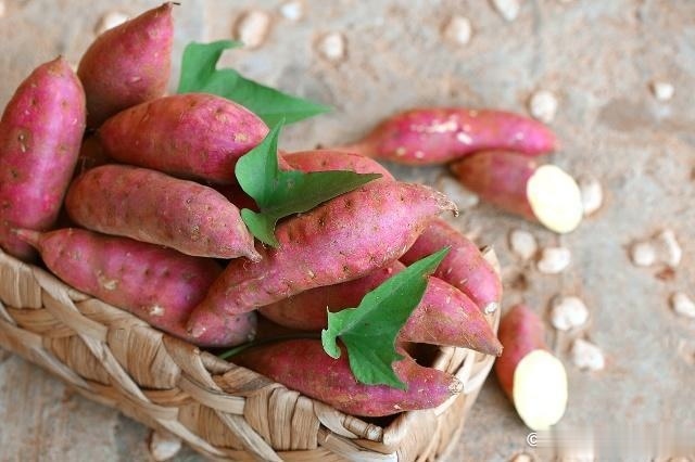 每天把玉米当早餐的人,最后都得到了什么或许很多人都不信