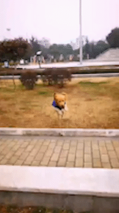 |搞笑GIF:美女!这是公共场所,不是你家啊!你没发现地板很硬吗?