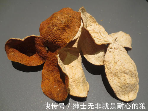 过年不管炖什么肉,只放4种调料就好,肉越炖越香,涨知识了