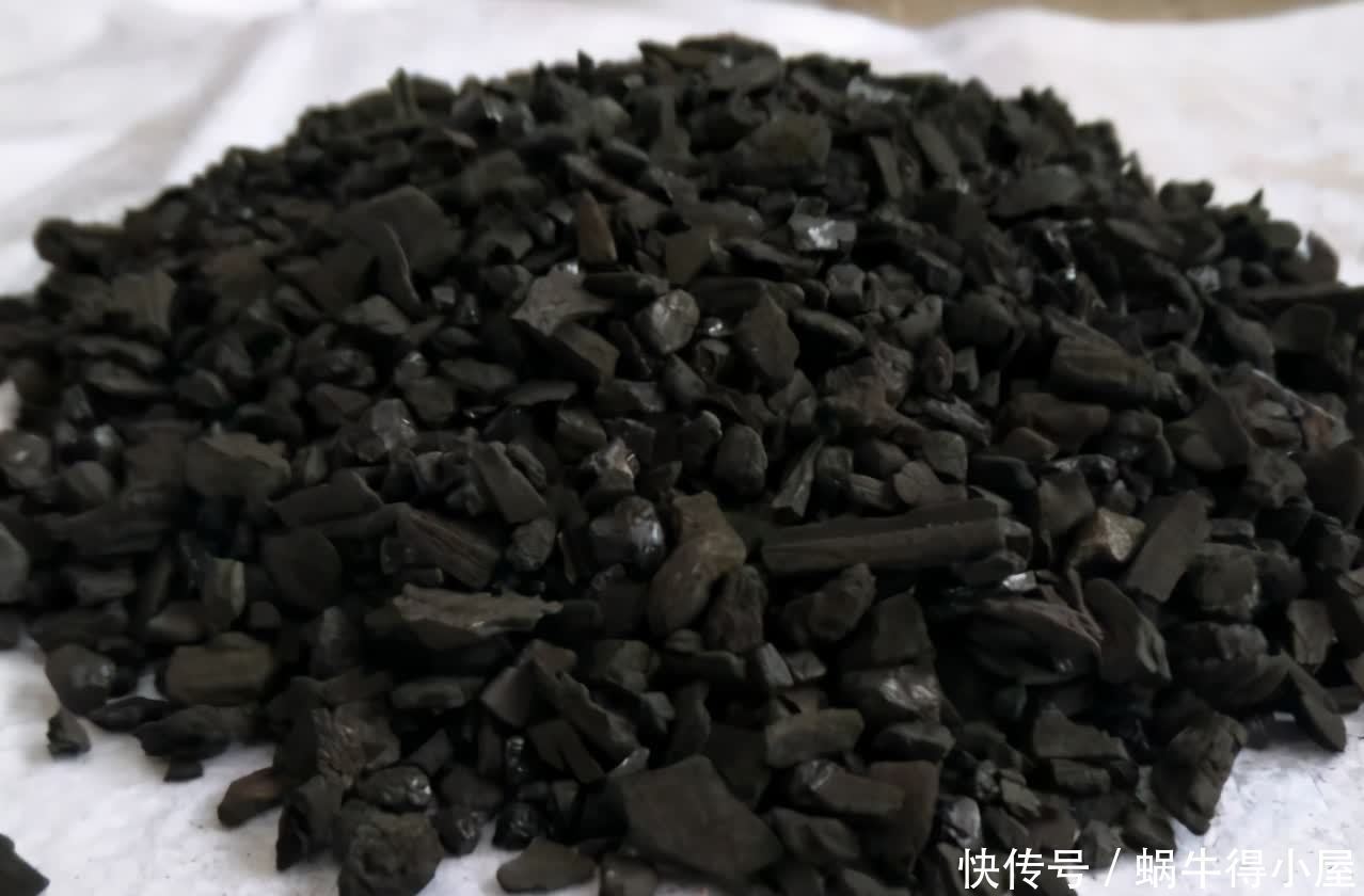 挖掘木炭养花用途：当肥？改善土壤？防治病虫害？